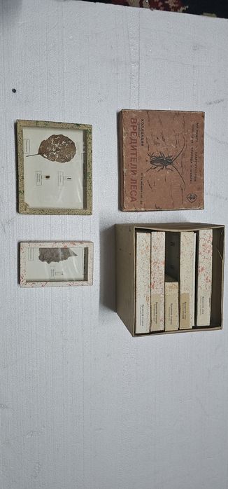 Коллекция учебная насекомые и вредители