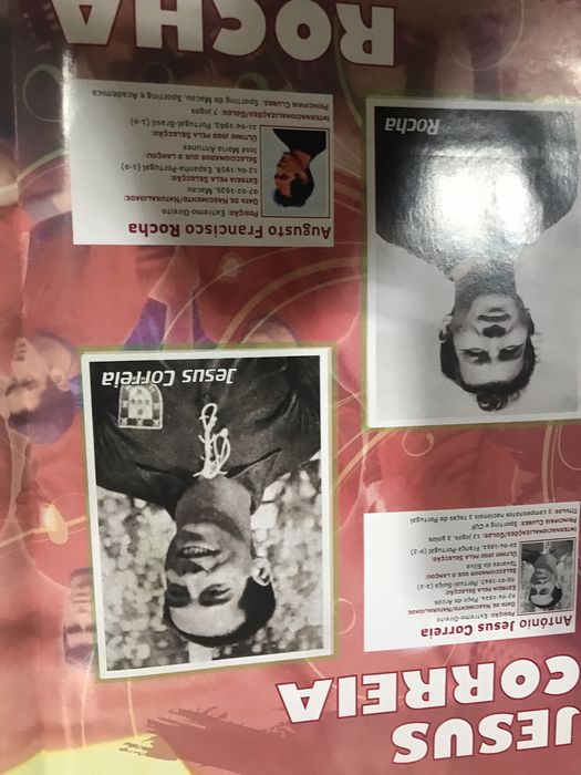Colecçao cromos album glorias