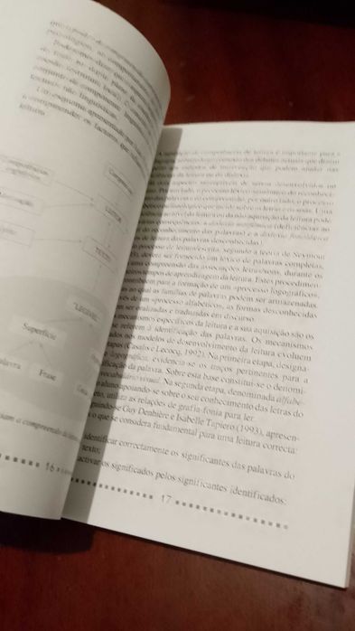 A Leitura e a Escrita - Madalena Contente