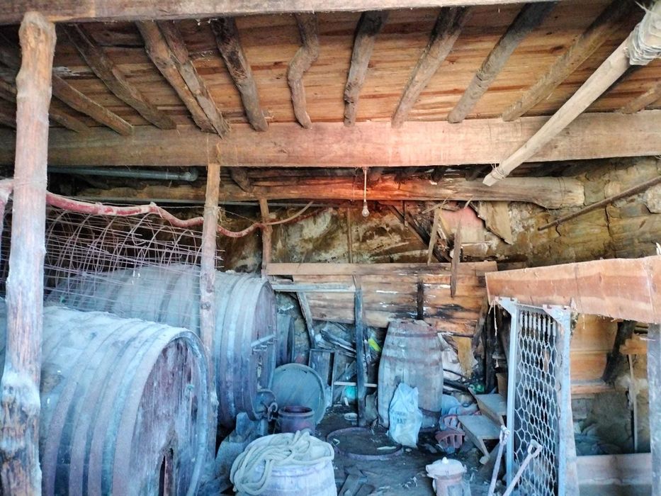 Pipas de Vinho em Madeira