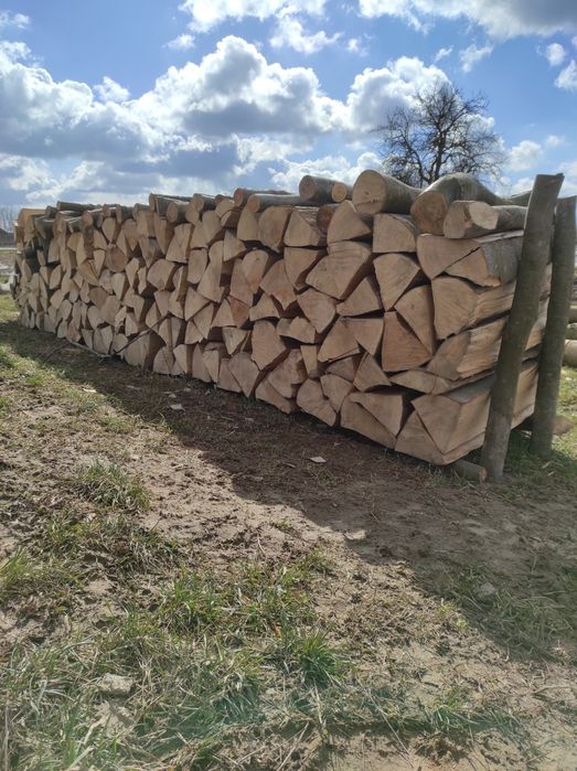 Drzewo bukowe w metrach