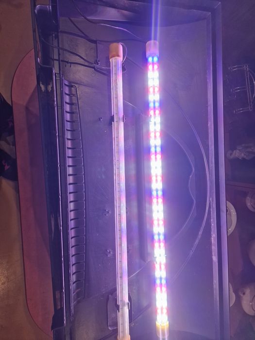 Akwarium 112l wraz z akcesoriami