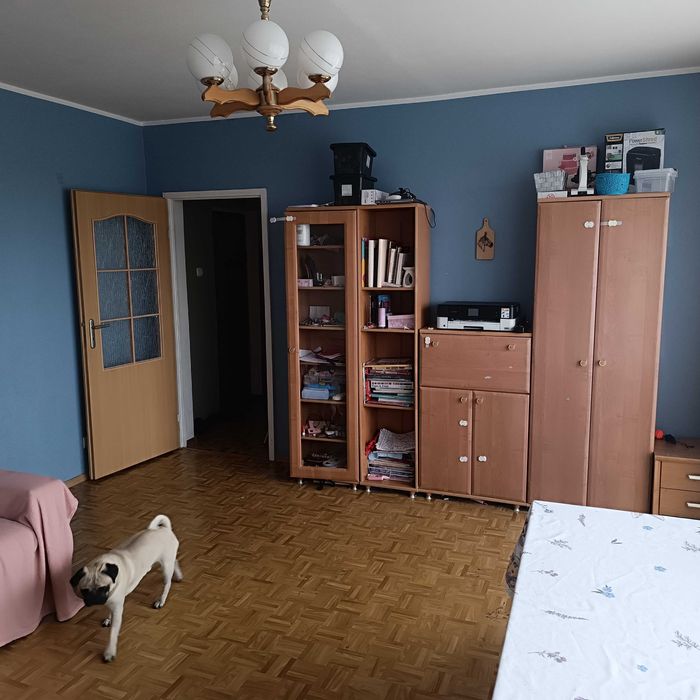 Apartment in Łódź, Henryków, Mileszki - Widok 2