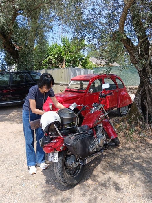 Suzuki Marauder 250 | Apenas 24.000 km | Excelente Estado
