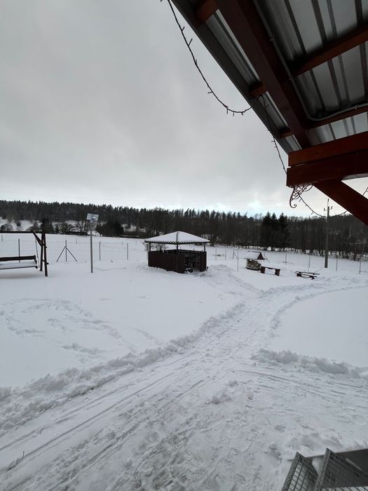 Domek całoroczny z jacuzzi | las, góry i pełen relaks