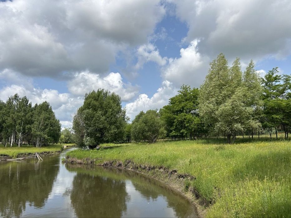 Просторий маєток з басейном — ідеальний варіант для родини чи бізнесу!