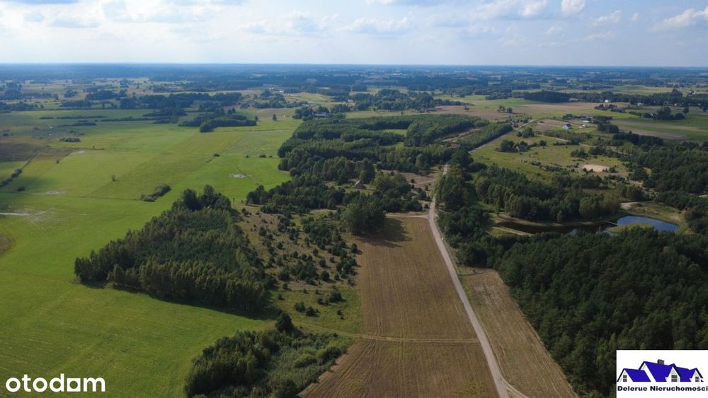 Działki budowlane w sąsiedztwie lasu - Więcej
