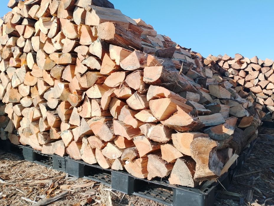 Drewno opałowe - SOSNA