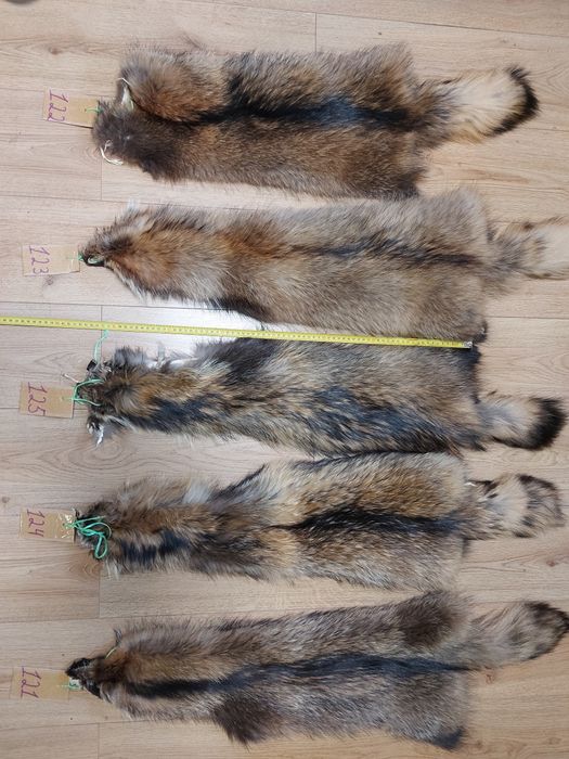 Хутро єнота / єнот/ енот/ єнотовидна собака / мех / мєх / шкіри / шкур
