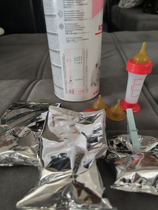 Vendo kit de leite da (Royal Canin) para gato filhotes de 1-4 semanas