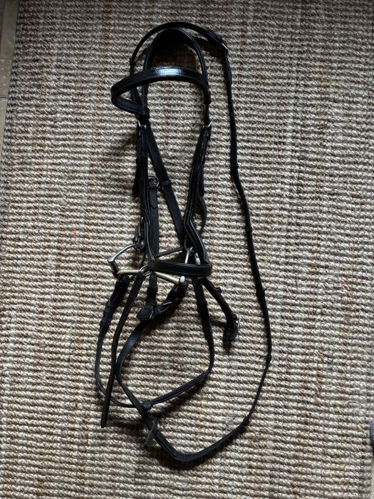 Oglowie anatomiczne Rambo Micklem