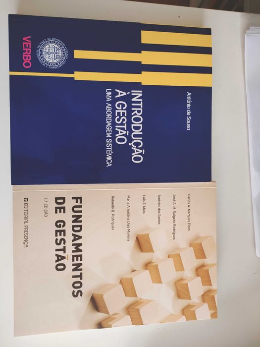 Livros liderança, gestão, finanças e contabilidade