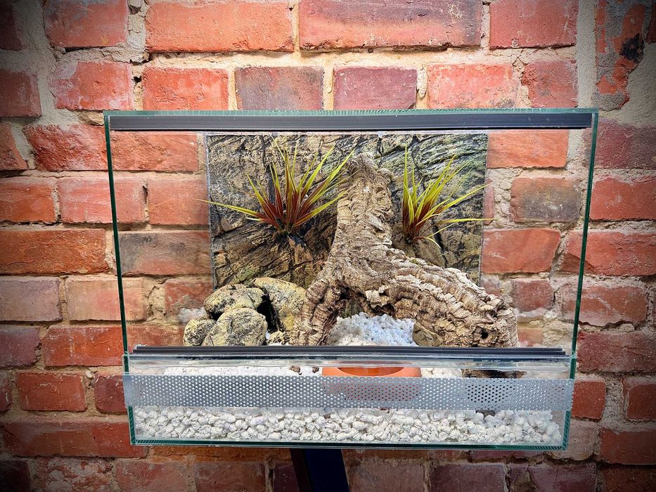 Terrarium szklane z pustynnym wystrojem 40x30x30 cm. AlleTerra