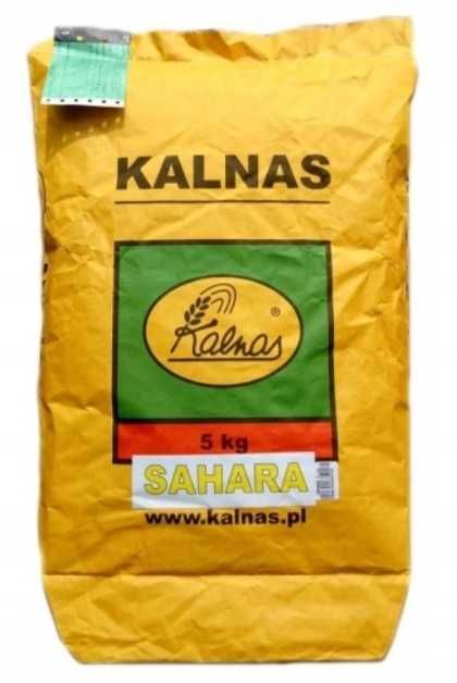 Mieszanka traw SAHARA KALNAS 5kg na tereny suche