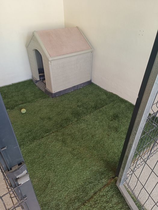 Pet hotel cuido do seu animal