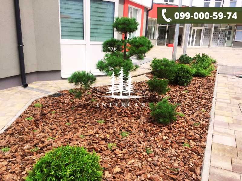 Декоративна Кора Велика для саду, Кора соснова 7/13см