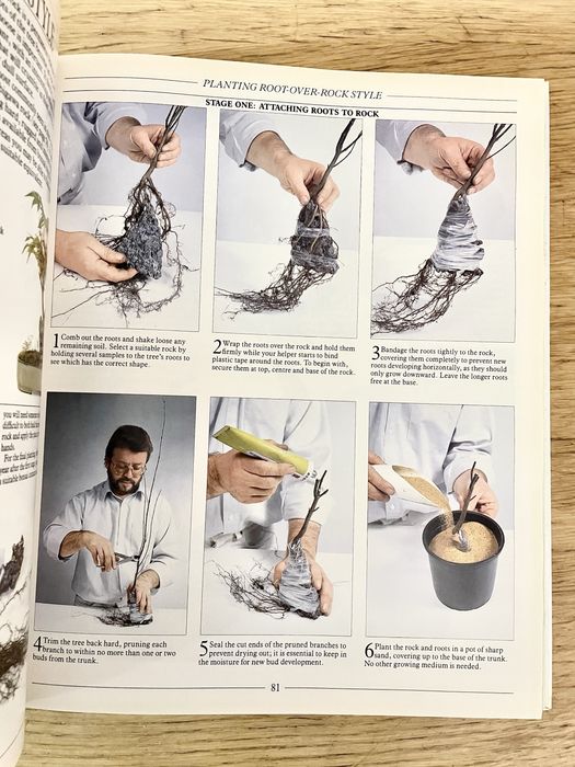 THE COMPLETE BOOK OF BONSAI