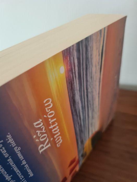 Róża wiatrów - Agnieszka Krawczyk