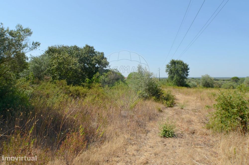 Terreno  para venda