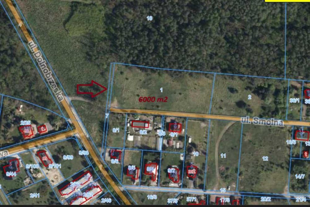 Wydzierżawię działkę o powierzchni 6000 m2 na terenie Wrocławia.