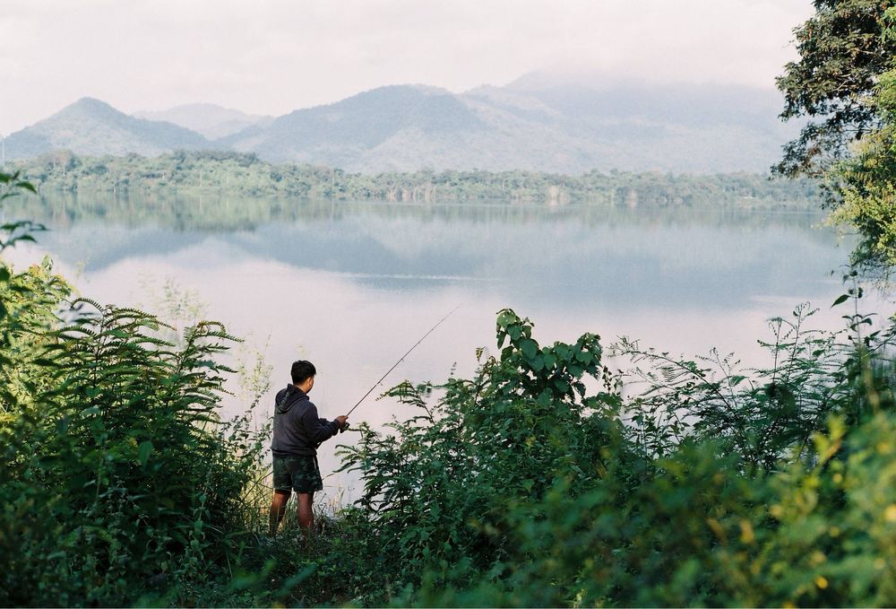 Canon IIf з обʼєктивом Serenar 35mm f/3.5 чудовий стан