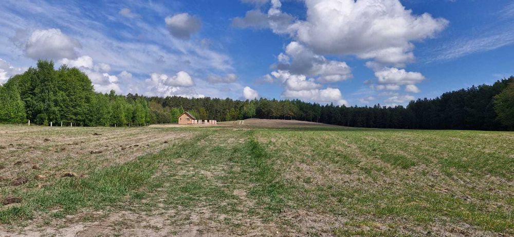 Działka 1200 m2 pod budowę domu | Huta k. Rypina | projekt domu