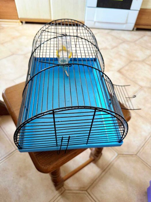 Клітка для гризунів + подарунок поїльниця та годівниця