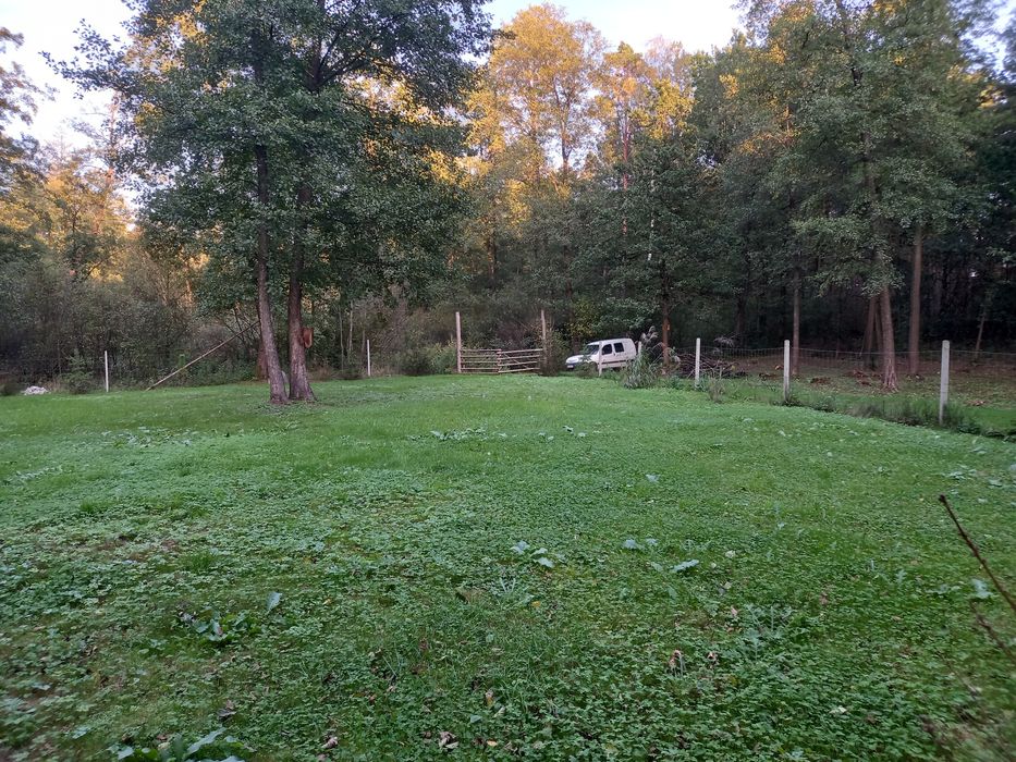 Piekna dzialka rekreacyjna 12a. Giedlarowa