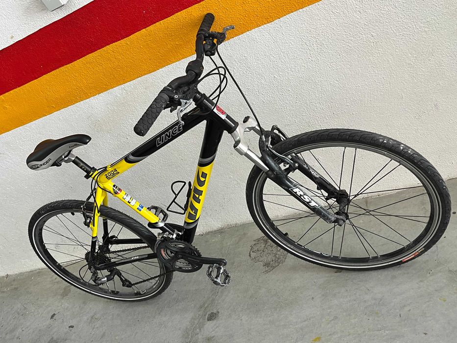 Bicicleta VAG Lince Roda 26 e 24 velocidades
