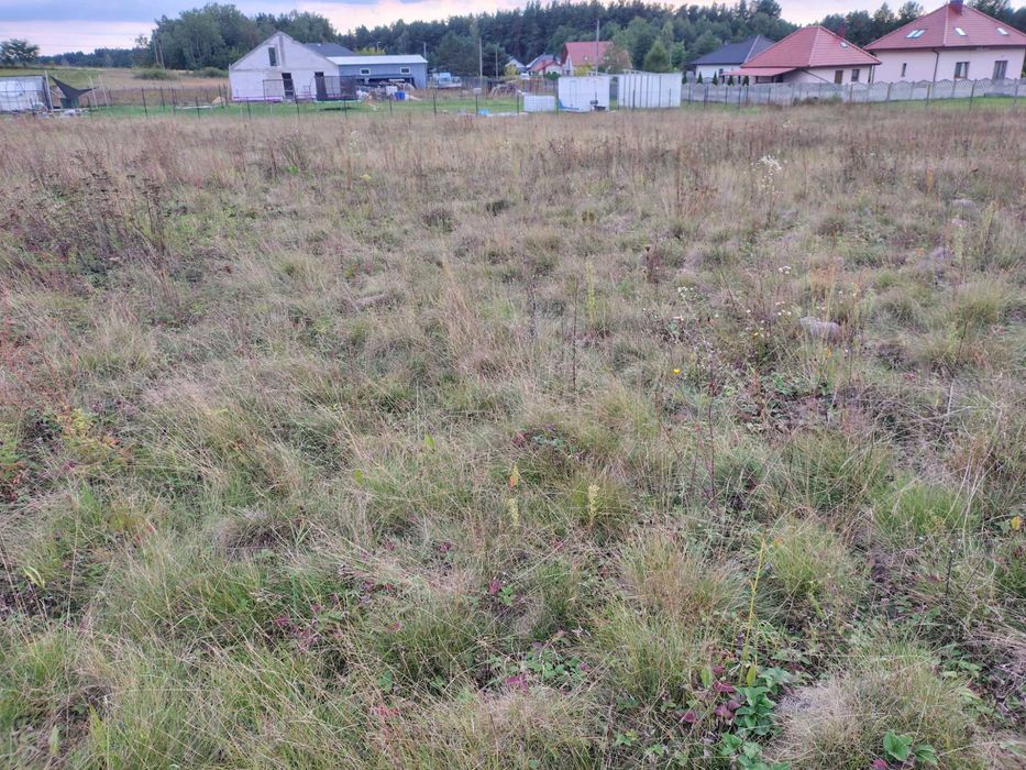 Zdjęcie 6