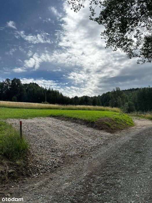 Działka budowlana 1600m - Widok 5