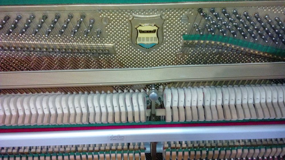 Piano Vertical Scholze