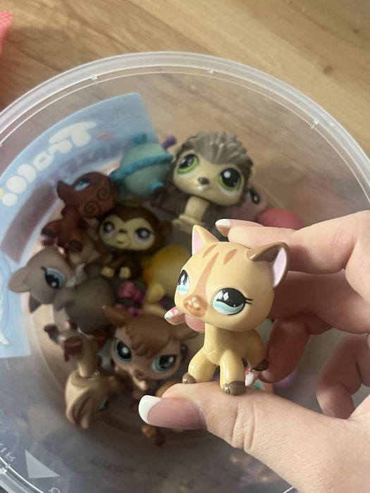Lps Shorthair zolty