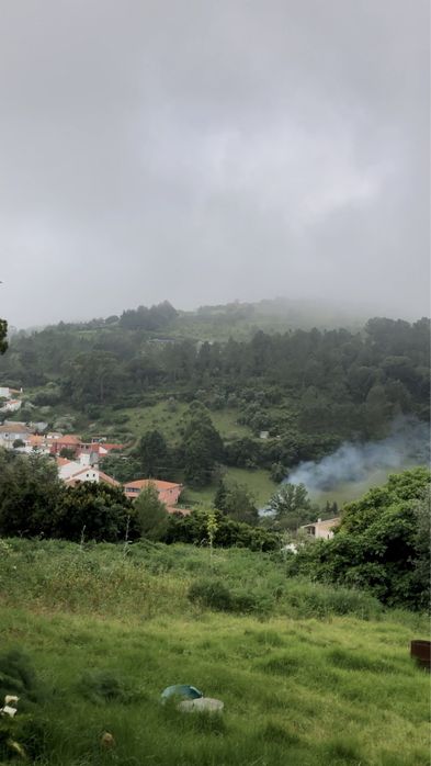 Limpeza de terreno
