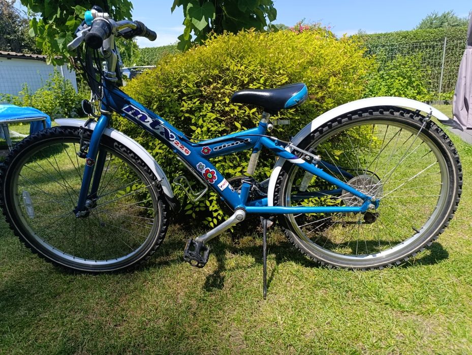 Rower Giant Mtx225 roz.24