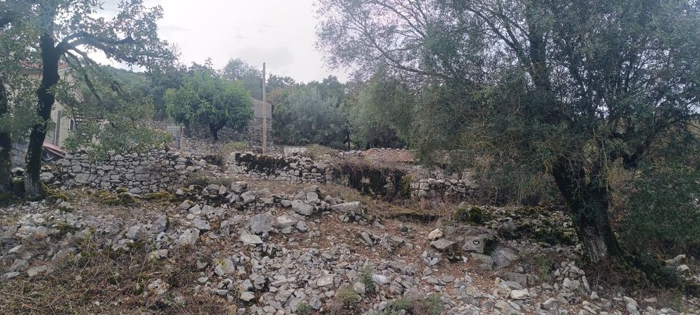 Terreno urbano no PNSAC – 1.525 m² | Alcanede | Sossego e Natureza