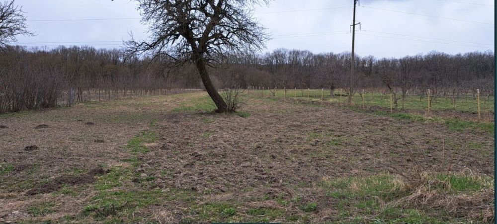 Продається будинок в с. Іванівці Барського р-н.