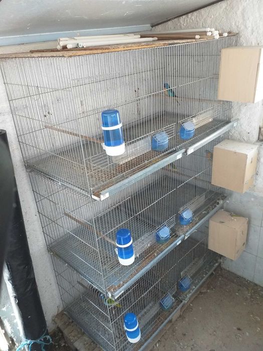 Viveiros para aves