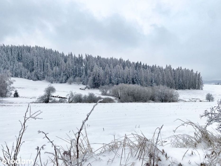 Działka budowlana 1388m2 Krzeszów Kamienna Góra