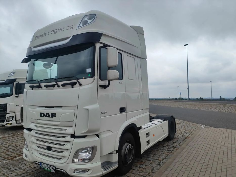 DAF XF480  Standard