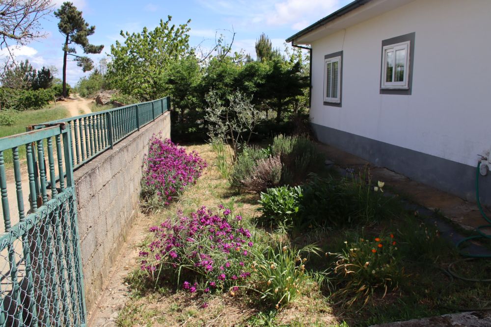 Terreno  com moradia T3 e com furo .