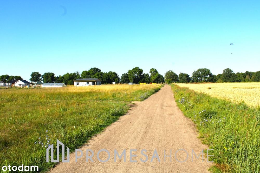 działki MPZP las Murzynowo MPZP SUPER CENA !!!