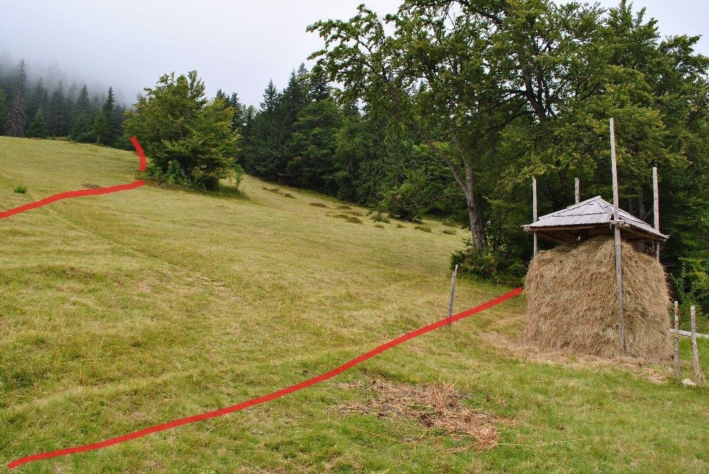 Земля в Закарпатті біля озера "Синевир"