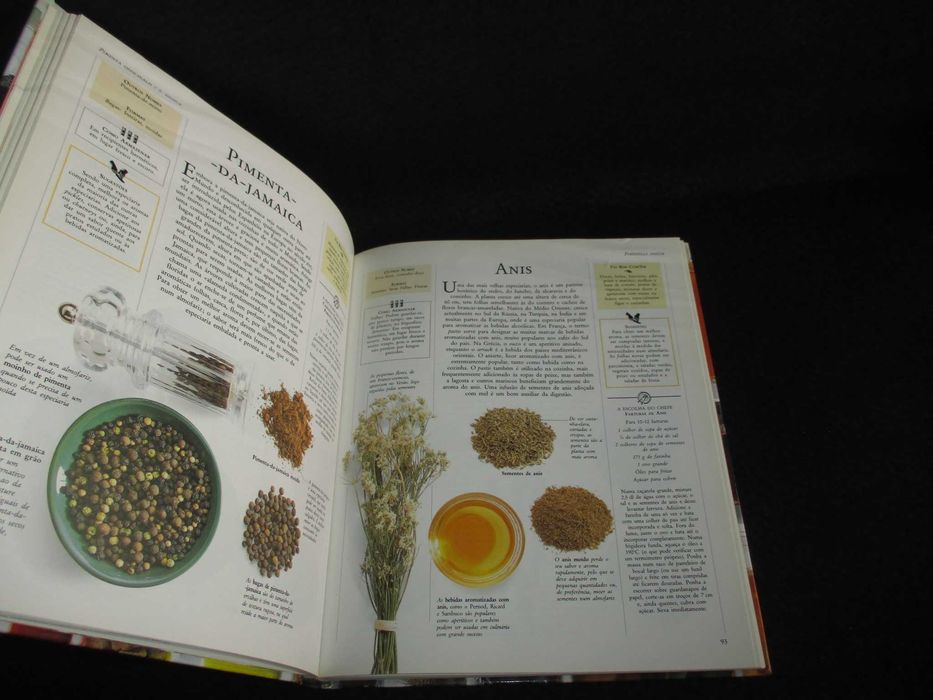 Livro Bons Sabores Elisabeth Lambert Ortiz Maria de Lourdes Modesto