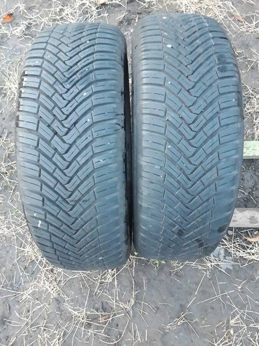 Opony całoroczne 205/60/16 96H Continental All Season Contact