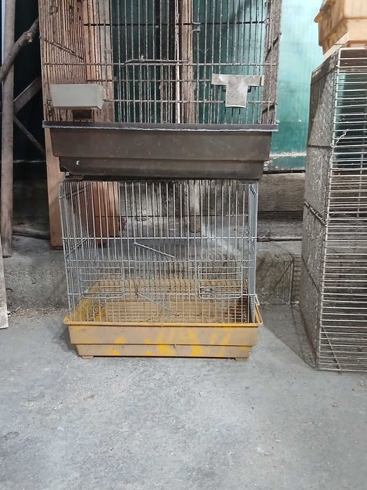 Tenho para cedência, por motivos de espaço estas Gaiolas usadas