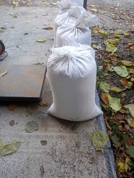 Sprzedam sucha kukurydzę i zboża