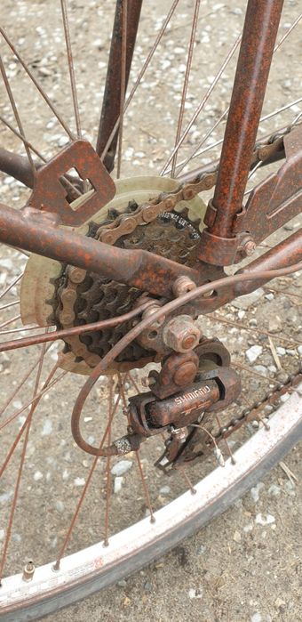 Stary rower pelikaan