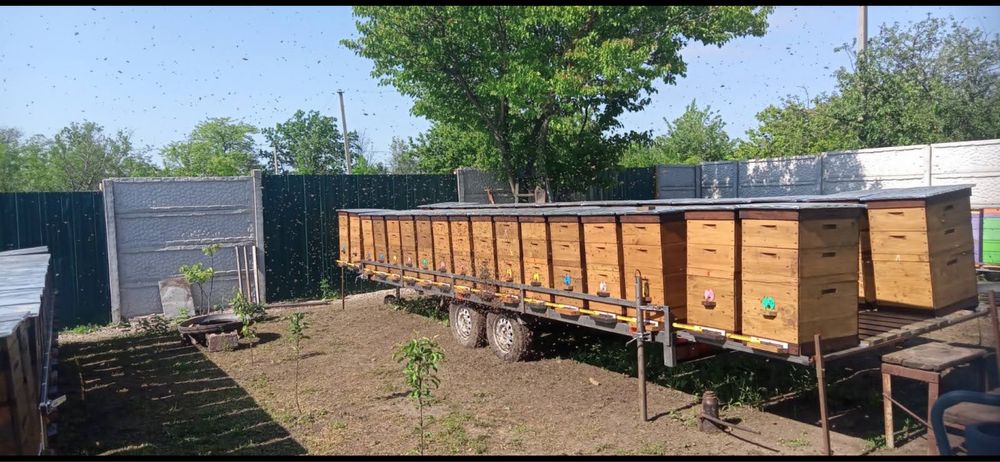 Продам 8-ми рамкові вулики