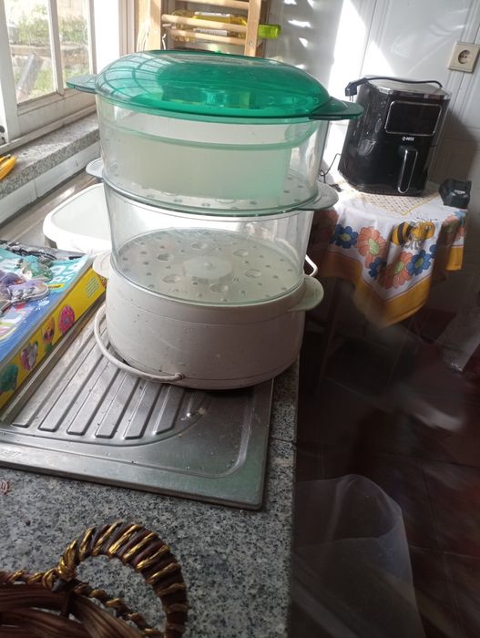 Vitasaveur 700 Express Compact